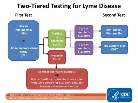 lyme serology blood test bottle|lyme disease serological testing.